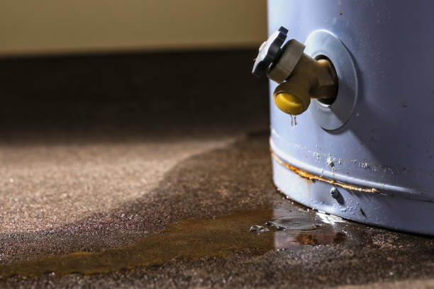Best Water damage restoration insurance claims  in Belding, MI