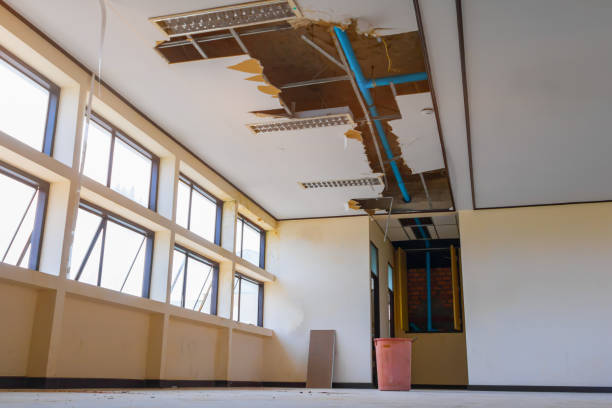 Best Water damage cleanup near me  in Belding, MI