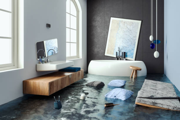 Best Basement water damage restoration  in Belding, MI