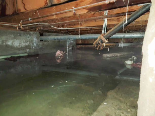 Best Emergency water damage restoration  in Belding, MI