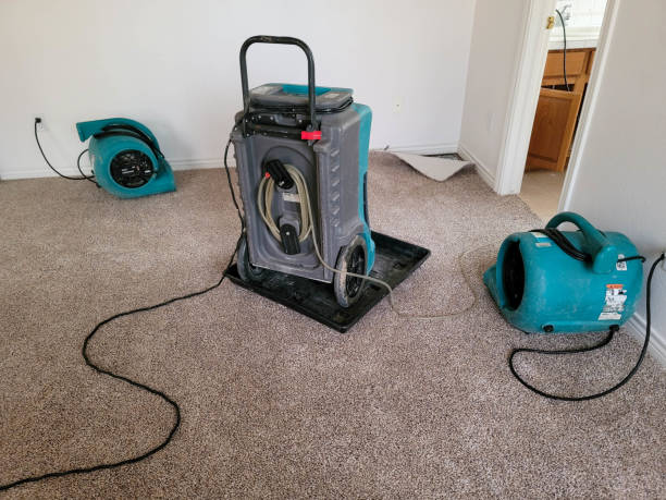 Best Sewage cleanup and water damage restoration  in Belding, MI