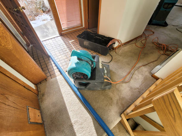 Best Flood restoration services  in Belding, MI