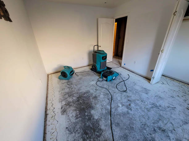 Best Flood damage cleanup  in Belding, MI