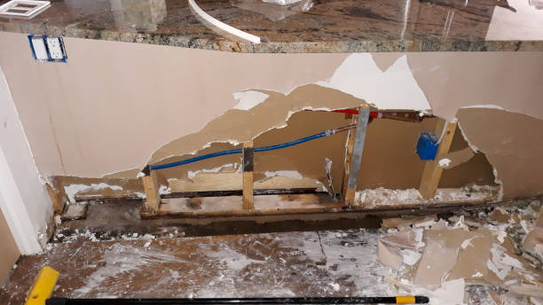 Best Mold removal after water damage  in Belding, MI