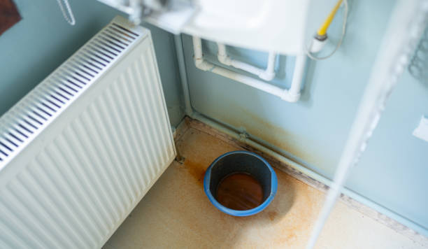  Belding, MI Water damage restoration Pros