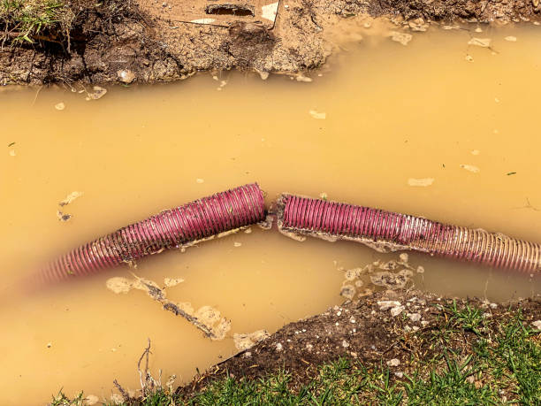 Best Residential water damage restoration  in Belding, MI