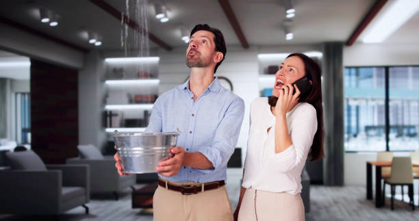 Best 24/7 water damage repair  in Belding, MI